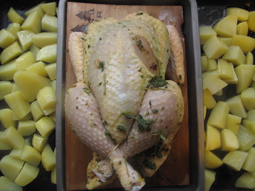 Cedar-planked lemon thyme chicken