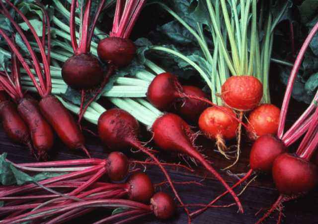 Beet Salad (For People Who Don't Like Beets)