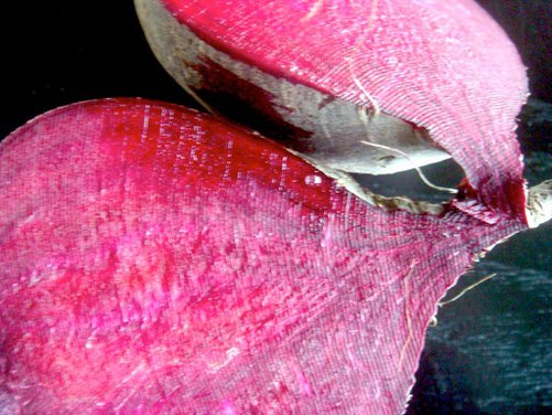 Purloined Beet and Lentil Salad