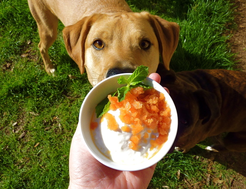Feta Frozen Yogurt with Blood Orange and Mint Granita!