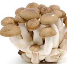 Shimeji Mushrooms with Butter and Soy