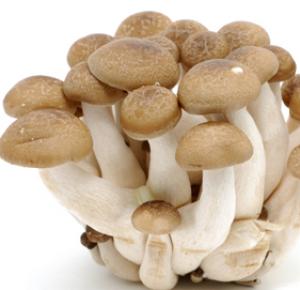 Shimeji Mushrooms with Butter and Soy