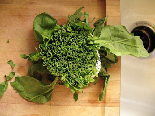Creamy Spanikopita with Fresh Spinach and Dill