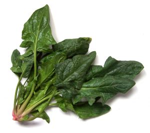 sauteed spinach and wild mushrooms