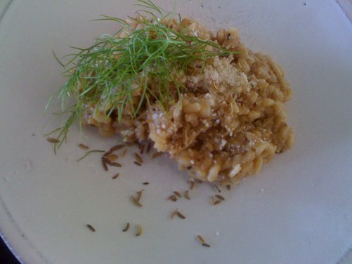 Fennel Risotto