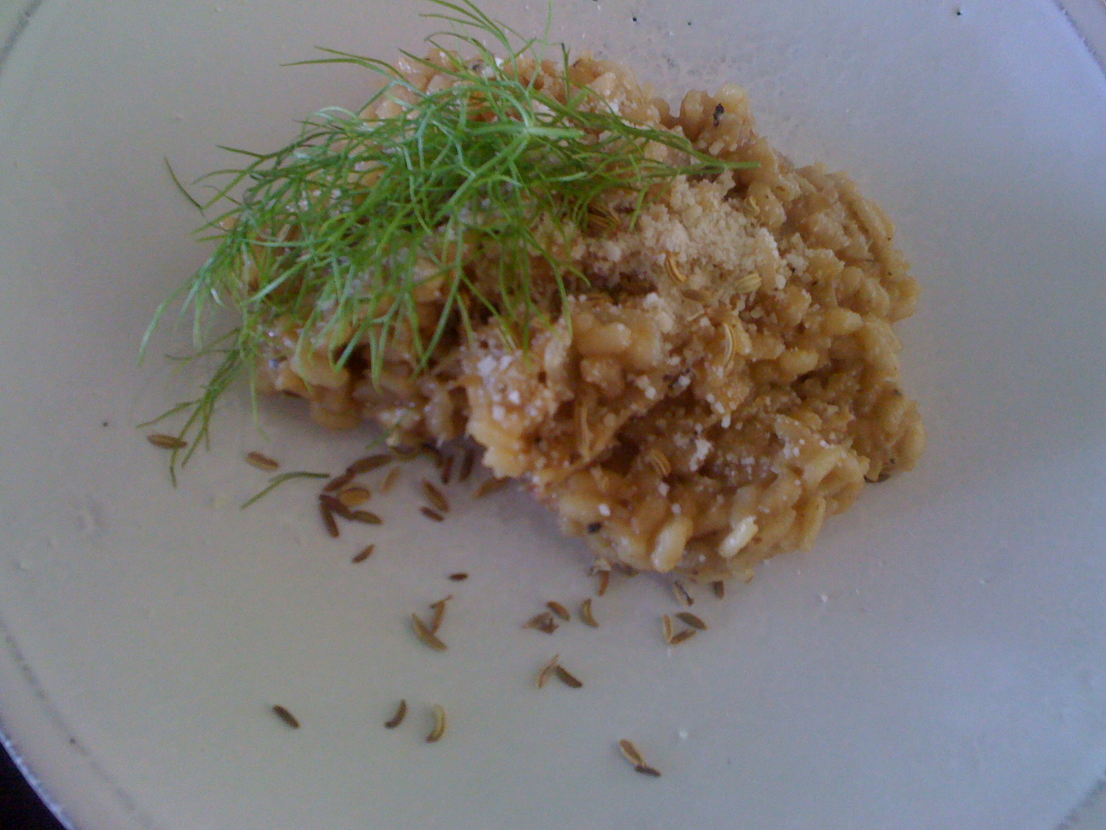 Fennel Risotto