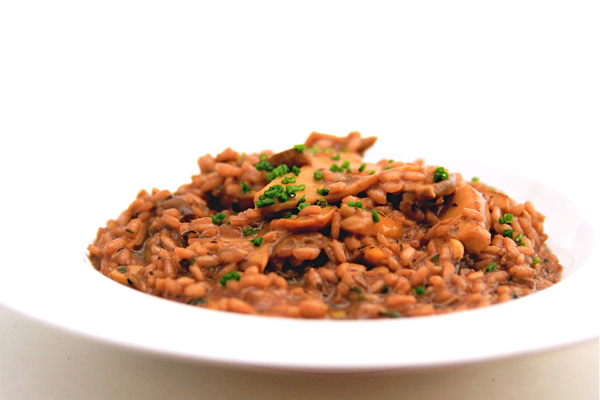 Red Wine and Porcini Risotto