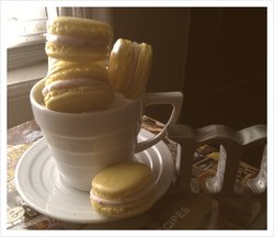 Spring Macaron