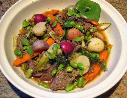Lemony Braised Lamb Shanks and Spring Root Vegetable Stew with Fresh Dill