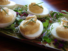 Smoked_trout_deviled_eggs