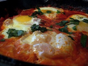 Moroccan Merguez Ragout with Poached Eggs