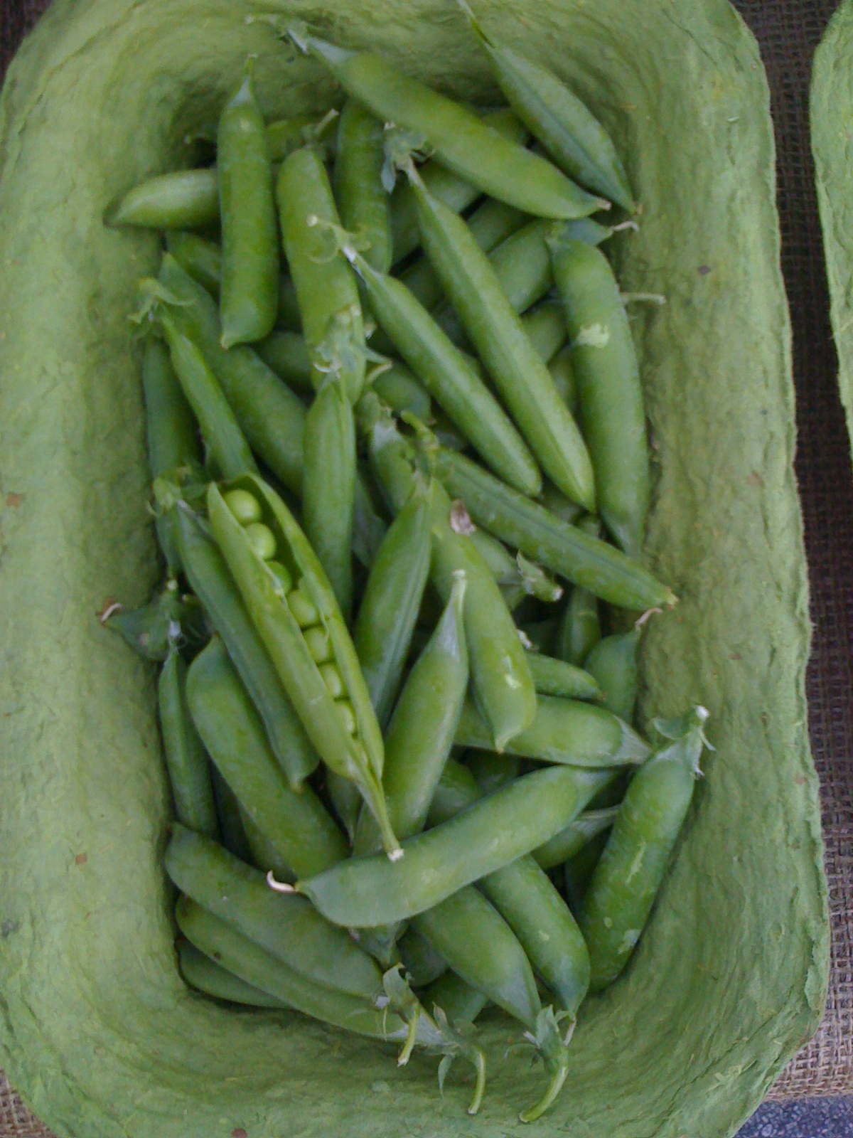 Spring Green Pea Risotto with Lemon