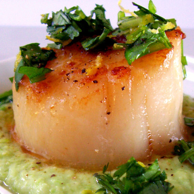 Scallop_cilantro_gremolata