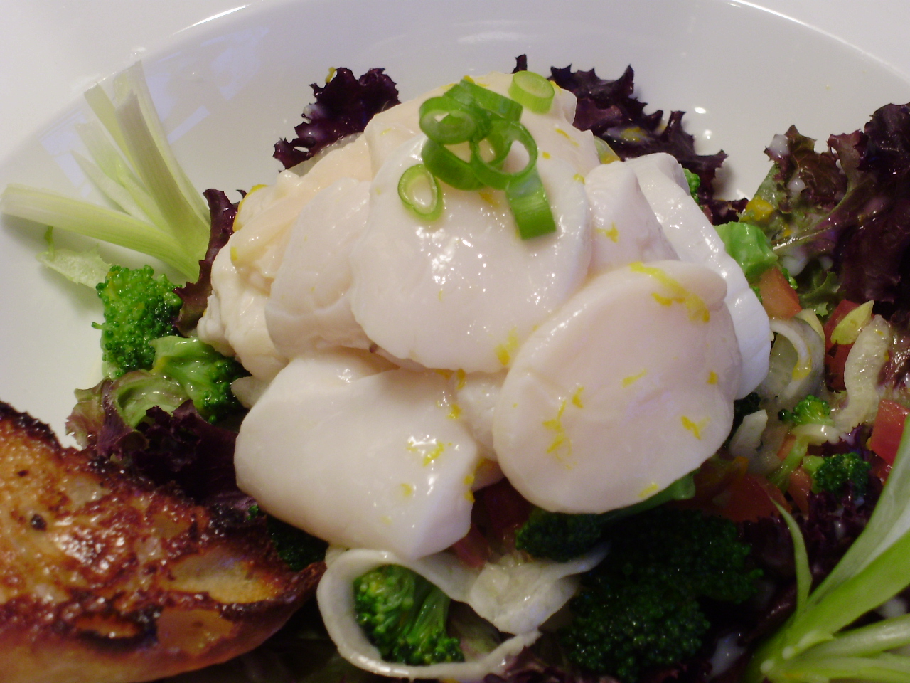 Scallop Ceveche with Fennel and Broccoli Salad