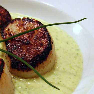 Seared Scallops with Spring Onion and Tarragon Cream