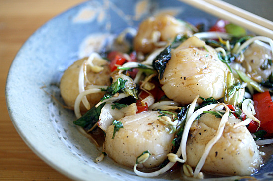 Scallopscloseup