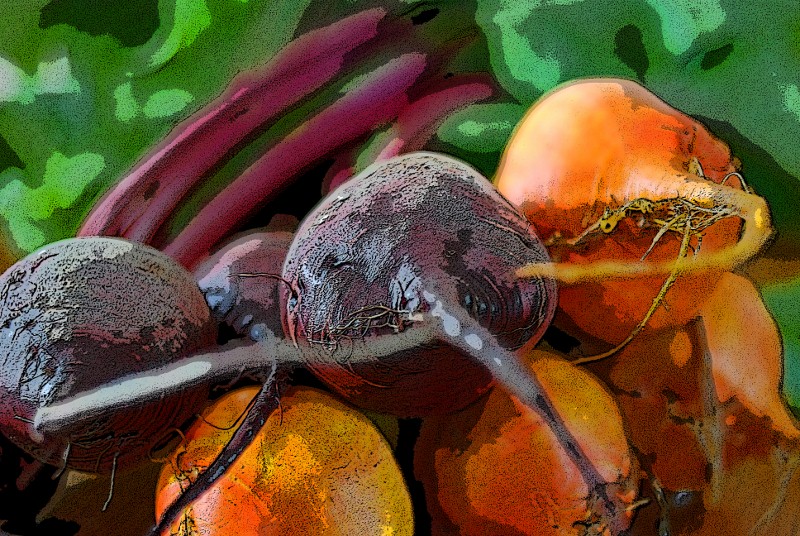 Pickled Beets