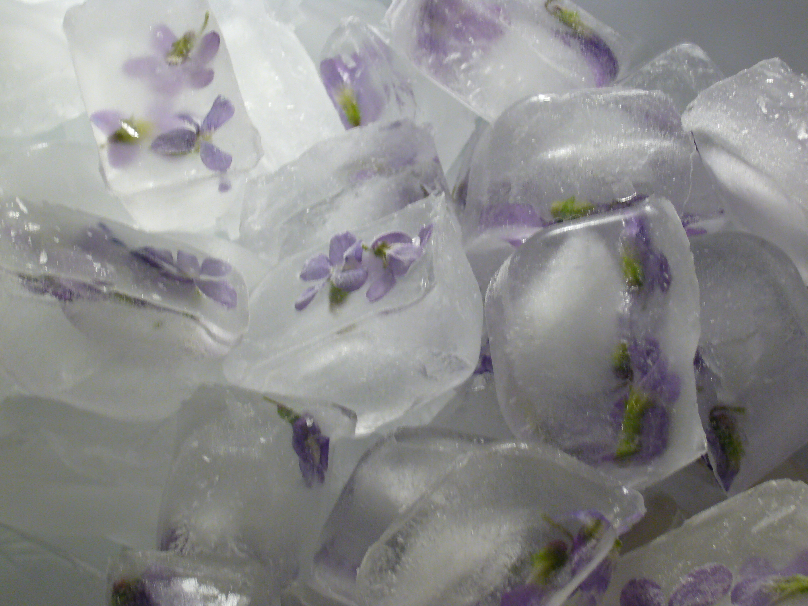 Spring Has Sprung Iced Tea