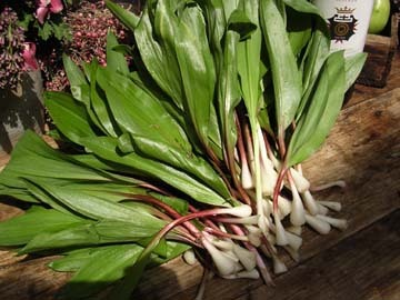 Ramps