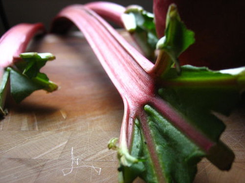 Rhubarb with Earl Grey Tea, Cardamom, and Orange Zest