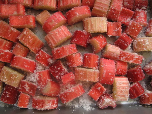 Roasted rhubarb limeade