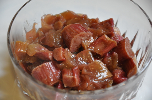 Rhubarb_onion_confit_riesling_042510