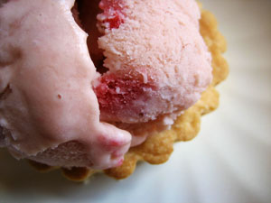 Strawberry-Rhubarb Ice Cream