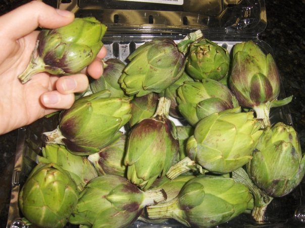 Baby Artichokes & Farfalle