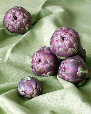 Baby Purple Artichokes Fried in Olive Oil