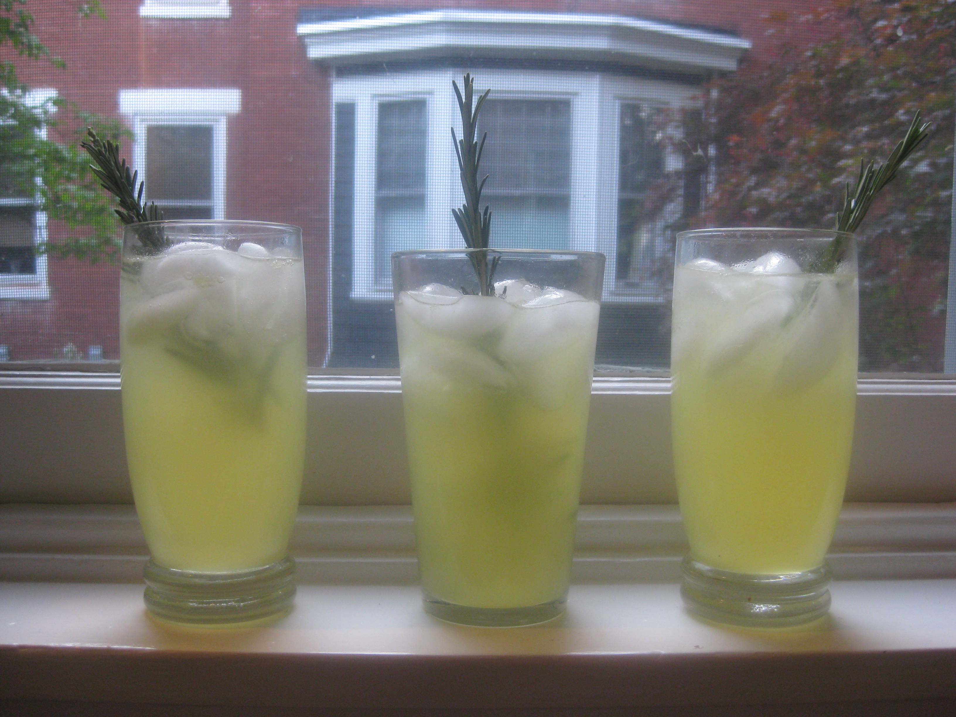 Lemon Rosemary Fizz