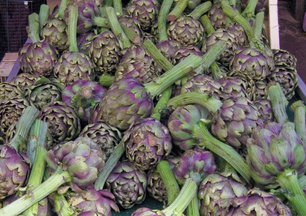 Artichoke Pizza