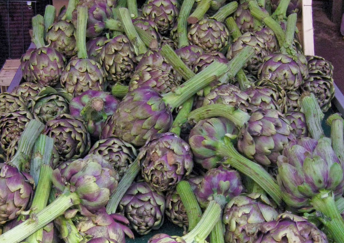 Artichoke Pizza