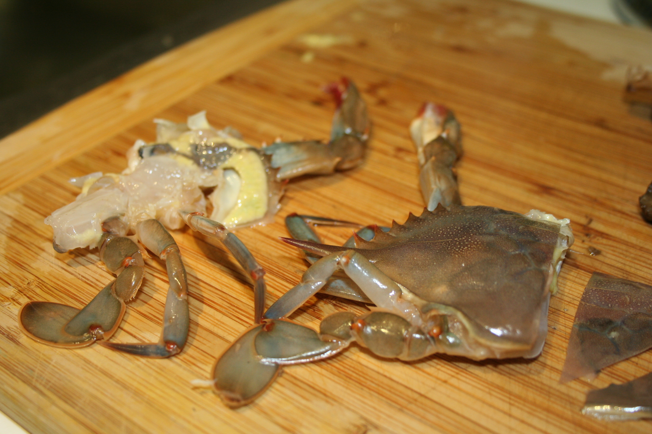Fresh Morels with Soft Shell Crab and Crispy Carapace