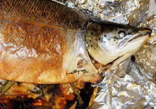 Baked Salmon