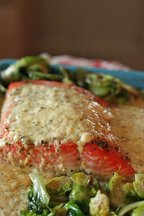 Salmon