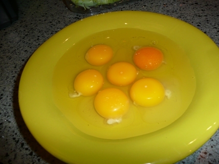Eggs_resized