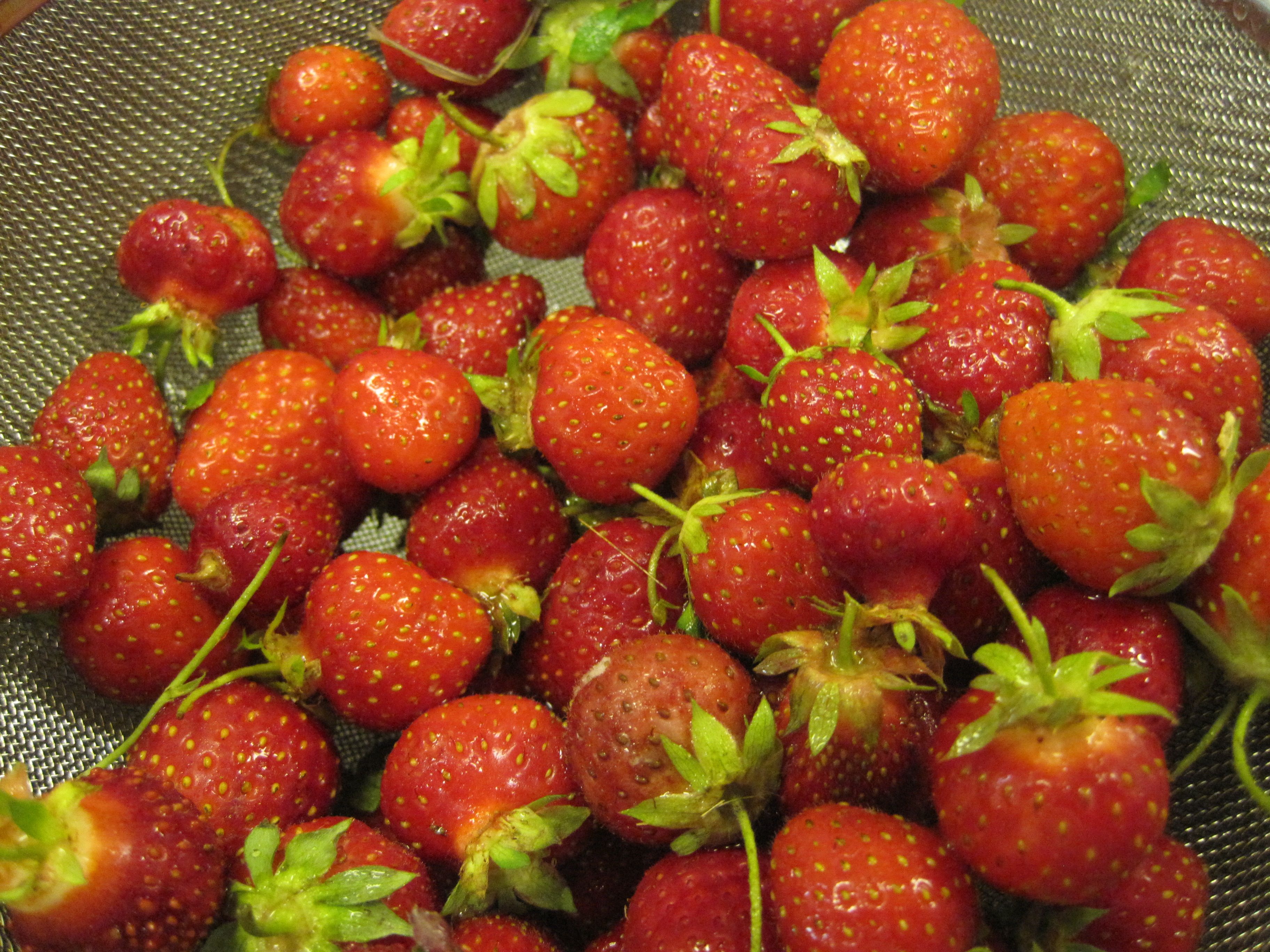 Lemon Verbena Scented Strawberry Peach Conserves