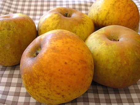 Prairie Apple Cake