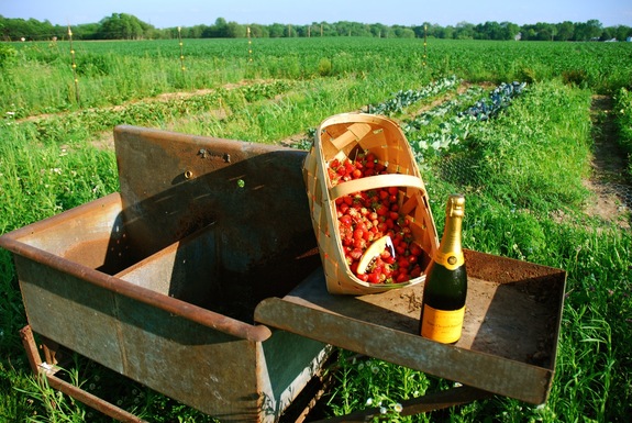 Strawberries_and_cliquot