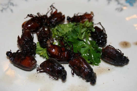 Sauteed June Bugs