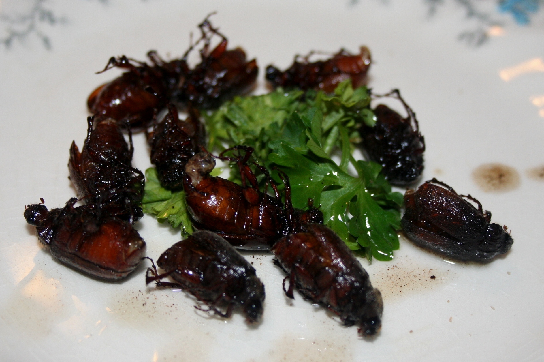 Sauteed June Bugs