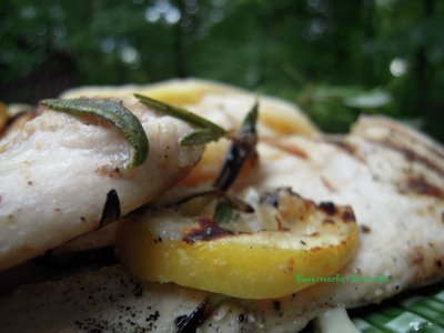 Grilled_lemon_pizza