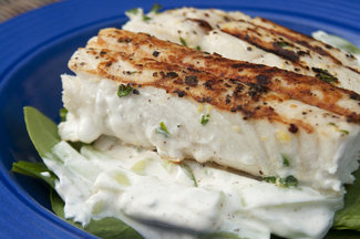 Halibut_1_sm