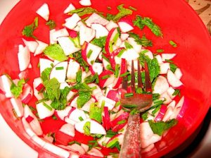 Cucumber Melon Heaven Soup