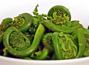 Fiddlehead Frittata