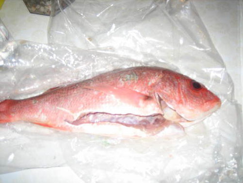 Whole Baked Fish in Sea Salt with Parsley Gremolata