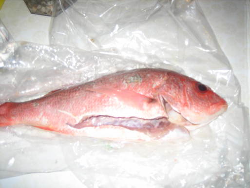 Whole Baked Fish in Sea Salt with Parsley Gremolata