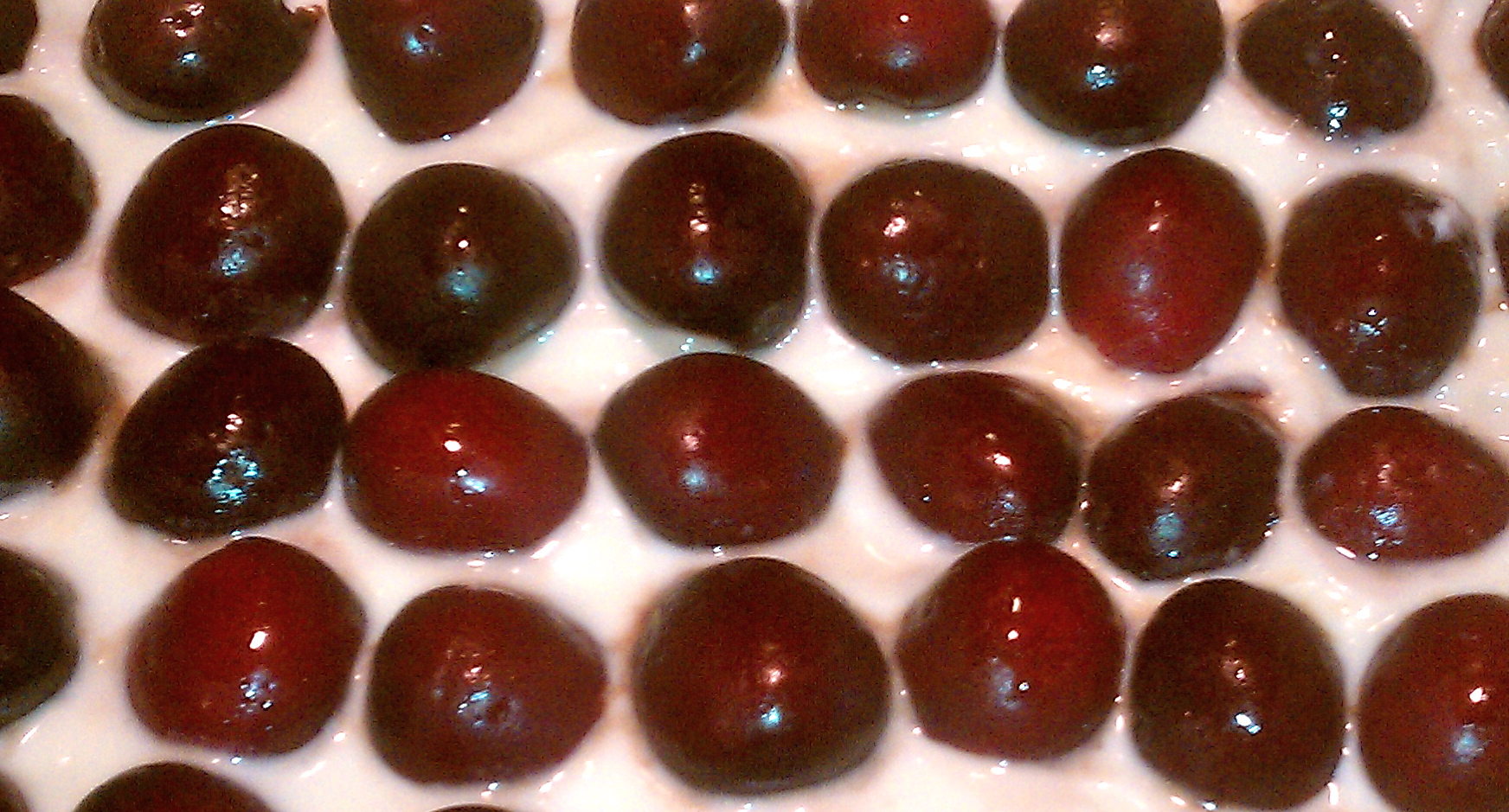 Cherry Cheese Tart