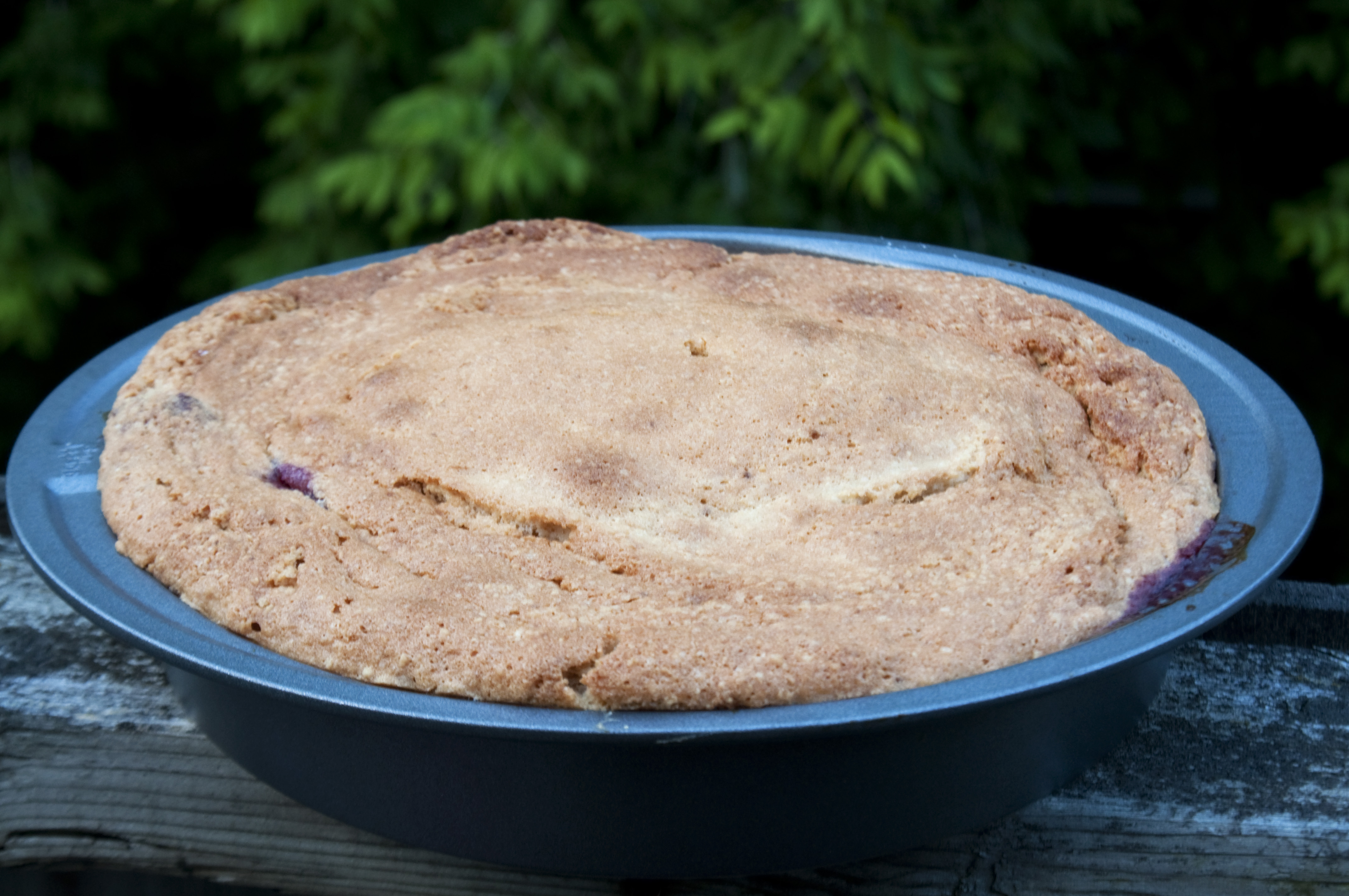 Peach-Cherry Almond Torte