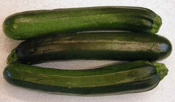 I-squash-zucchini